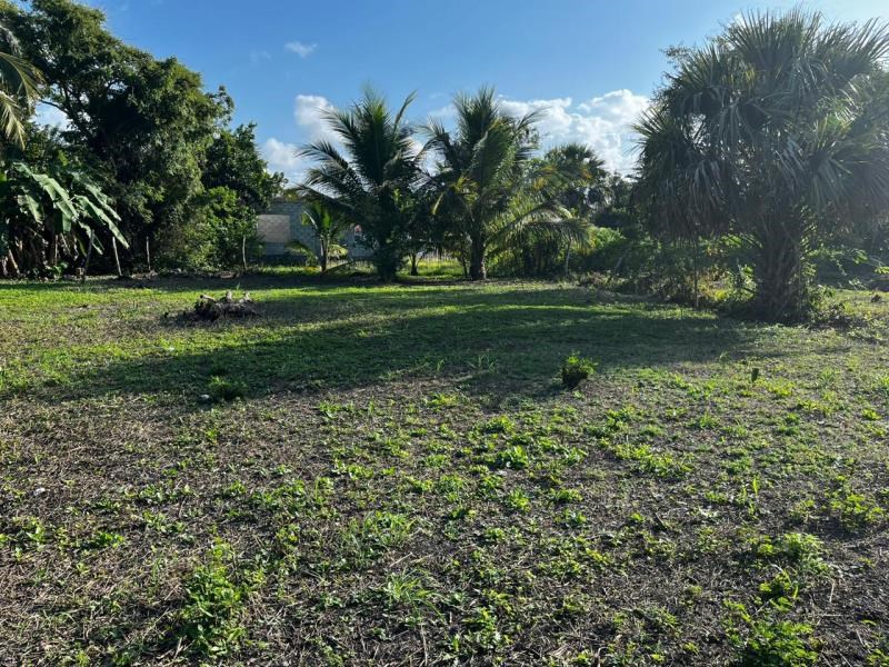 Affordable Lot in Corozal Town